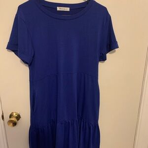 Berrygo Blue Casual Dress